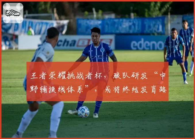 王者荣耀挑战者杯，狼队研发“中野辅换线体系”，或将终结发育路单核版本